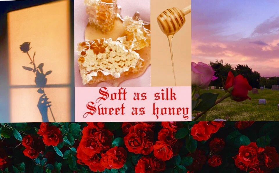 Honey🍯and Roses🌹 profile banner
