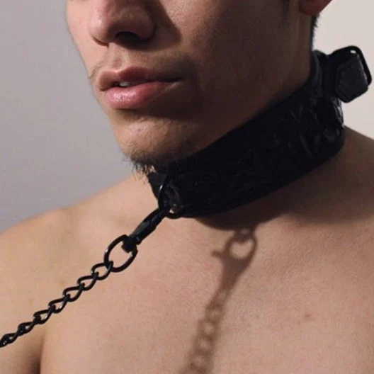 Freddy Veleno's avatar