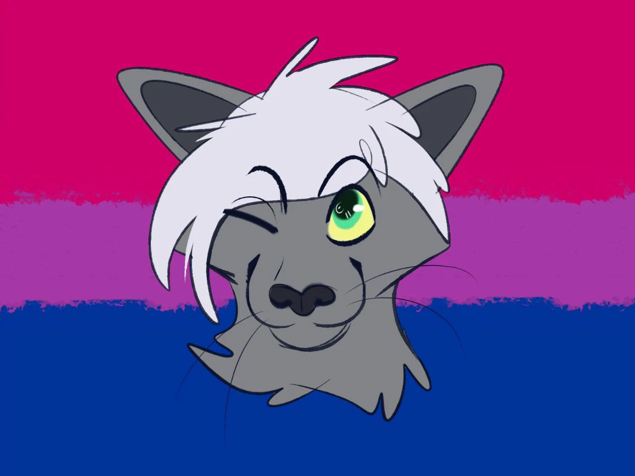 BooBooKittyCD profile banner