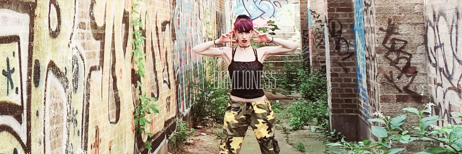 DomLioness profile banner