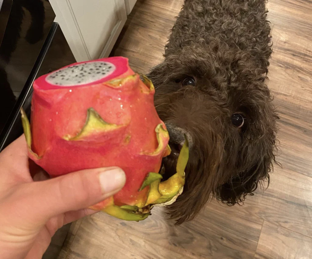 Bumper Ann's avatar