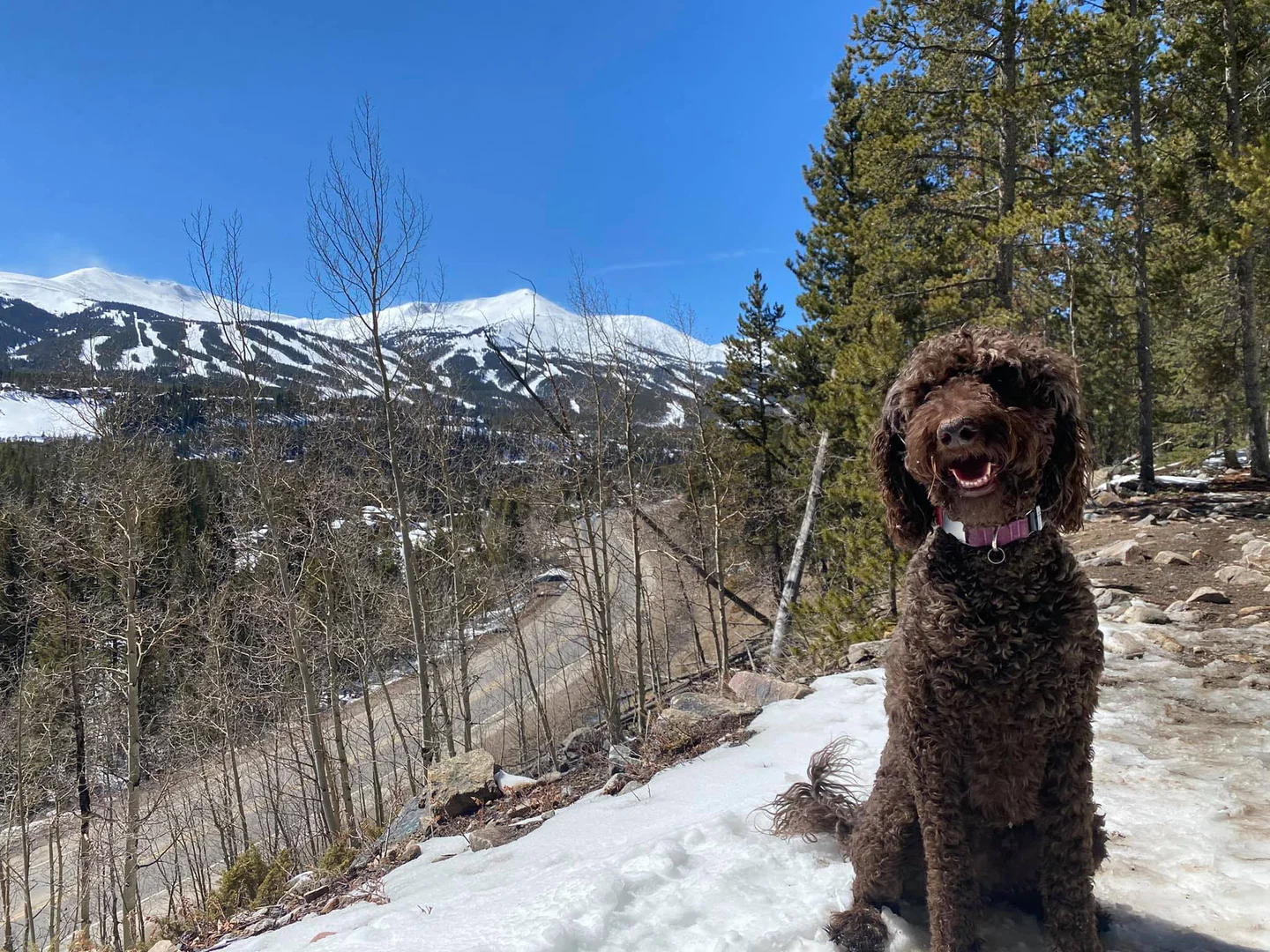 Bumper Ann profile banner