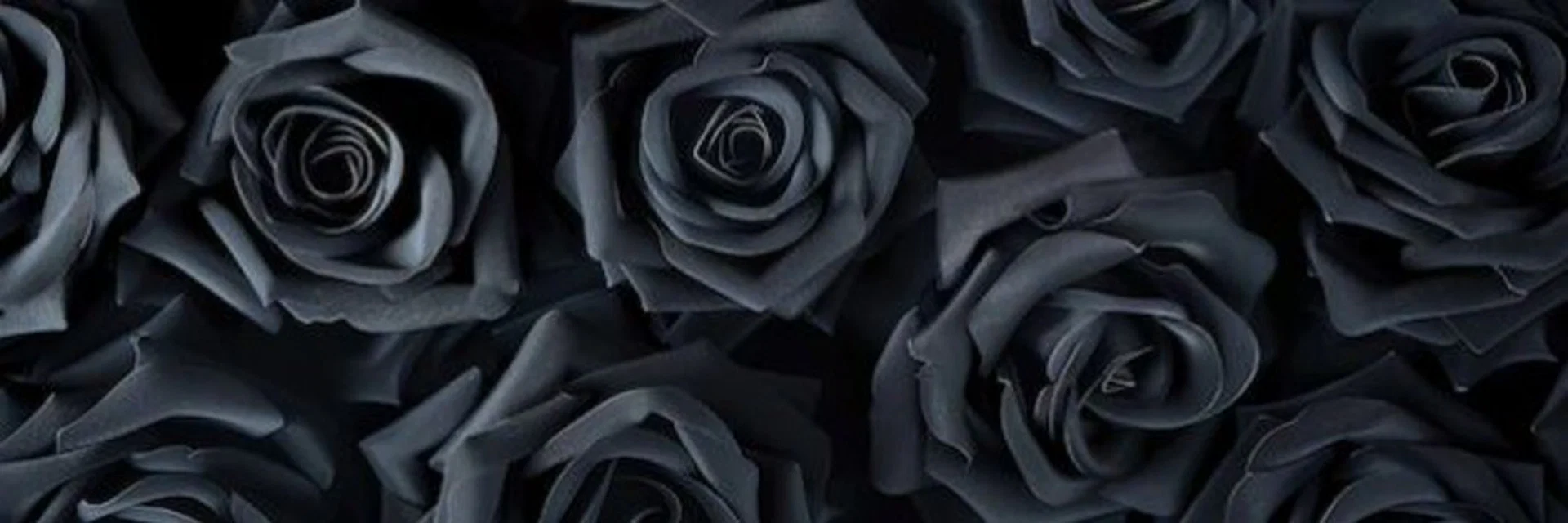 Mistress Blancka profile banner