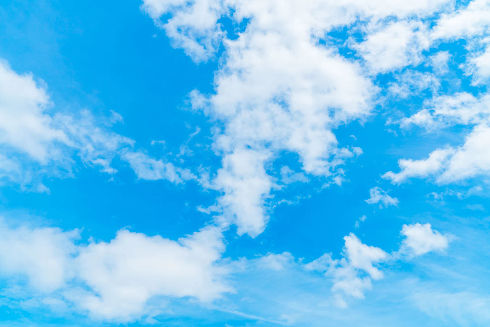 Olga profile banner