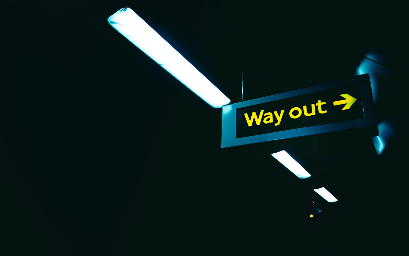 Arya KYC profile banner