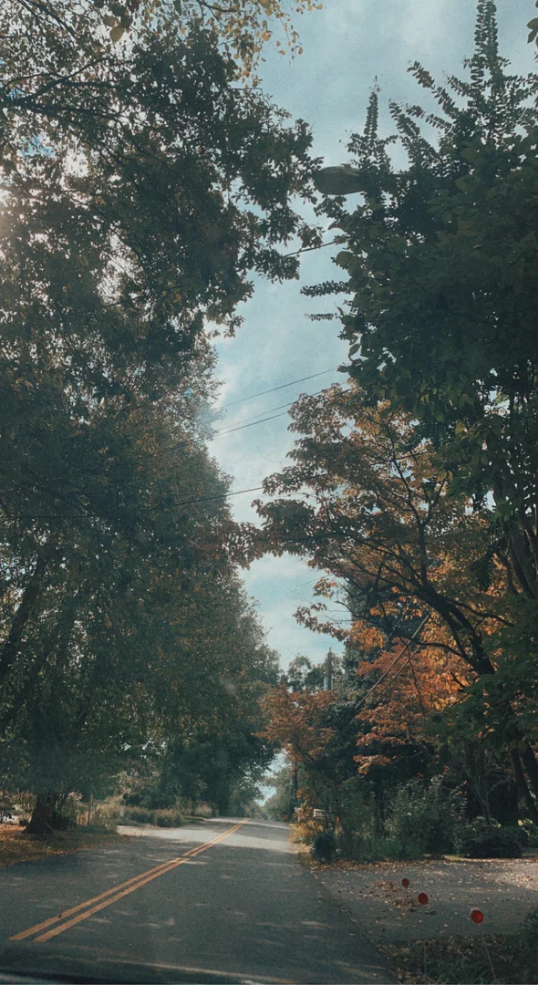 Ghostface Diaries profile banner