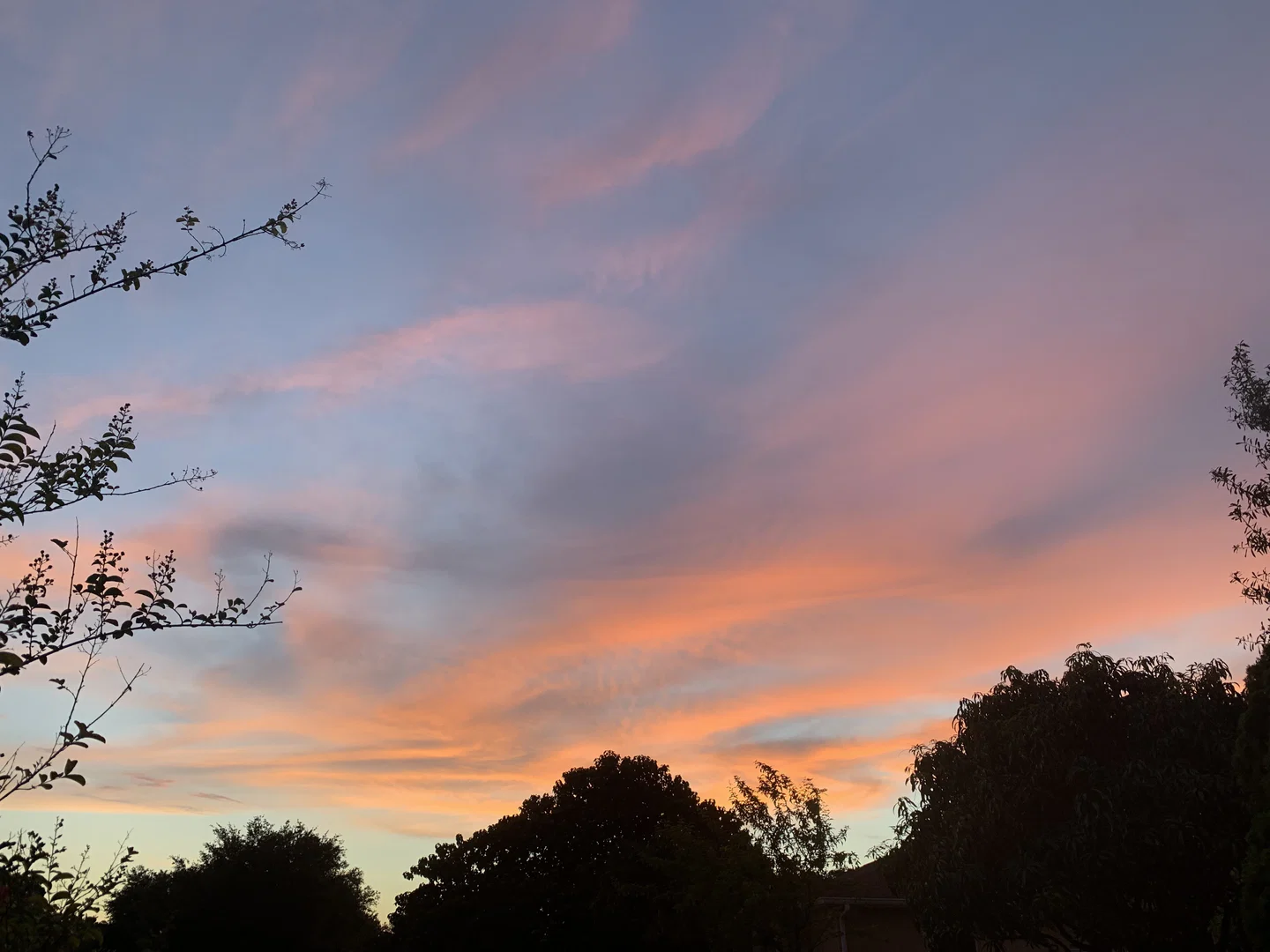 peachy profile banner