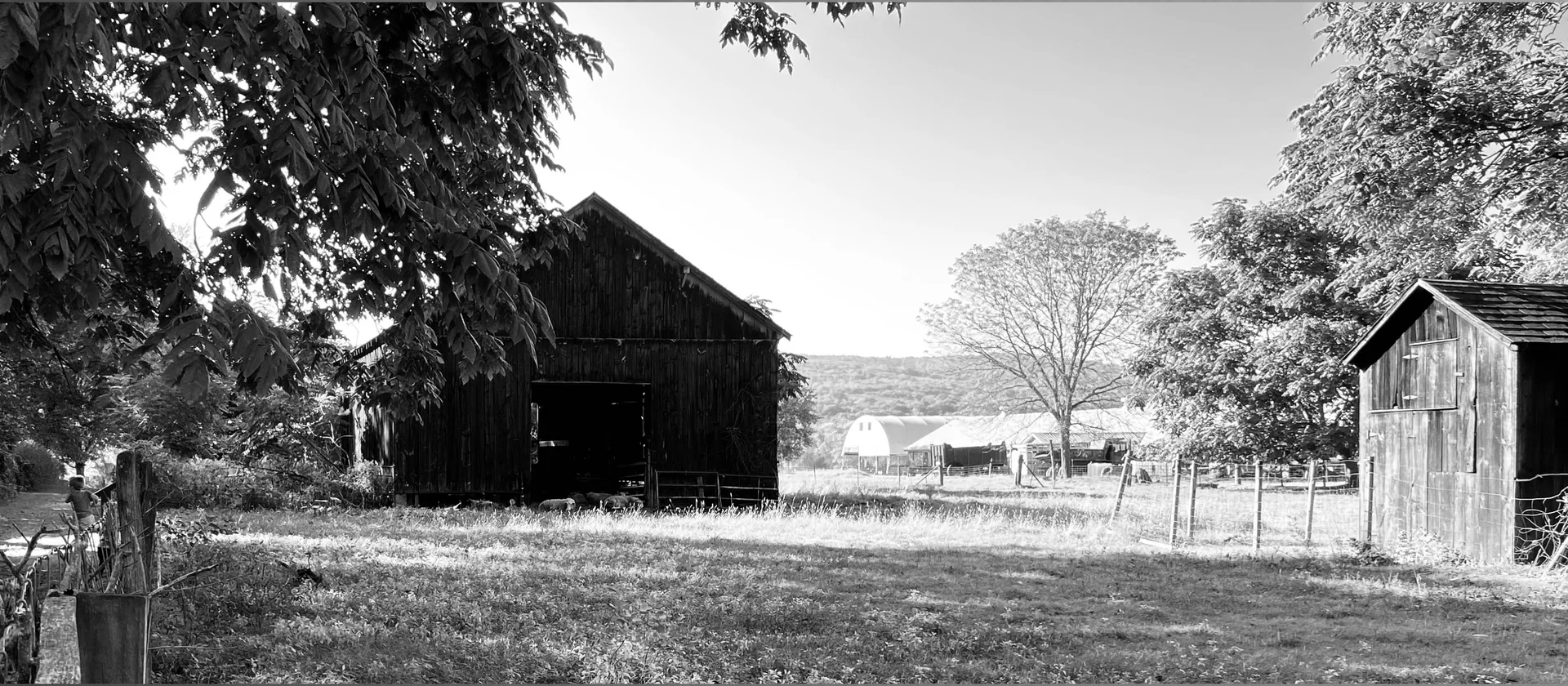 S profile banner