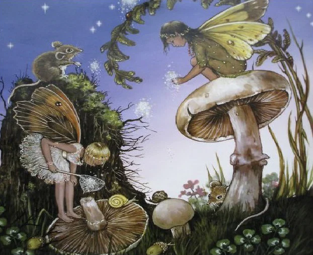 .。.:*☆fairy feets☆.。.:* profile banner