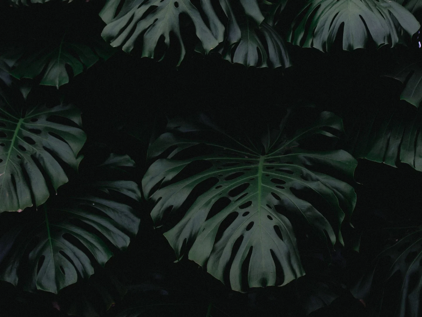 Acid profile banner