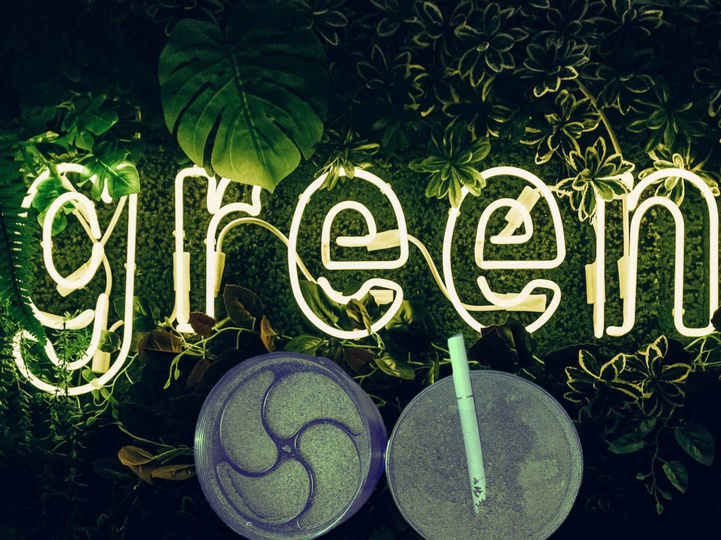 Lilly profile banner