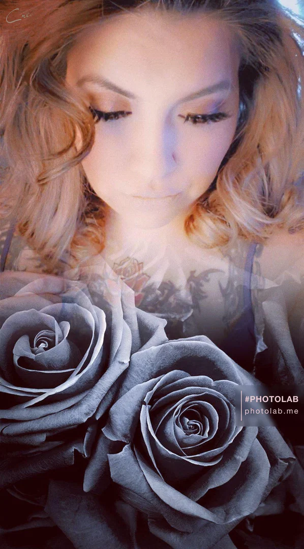 Renee Sena profile banner