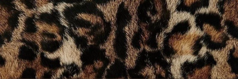 ThicciBabii🍒🐆 profile banner