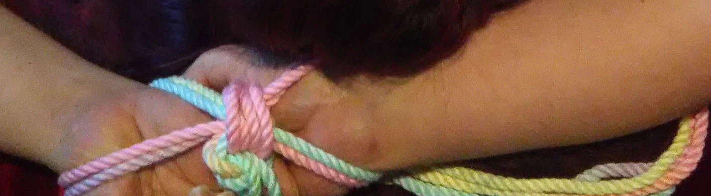 Shala profile banner