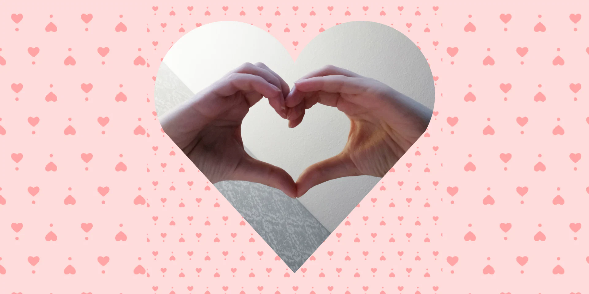 Colibrikisses profile banner