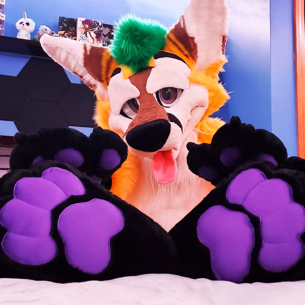 Pineapple Fox's avatar