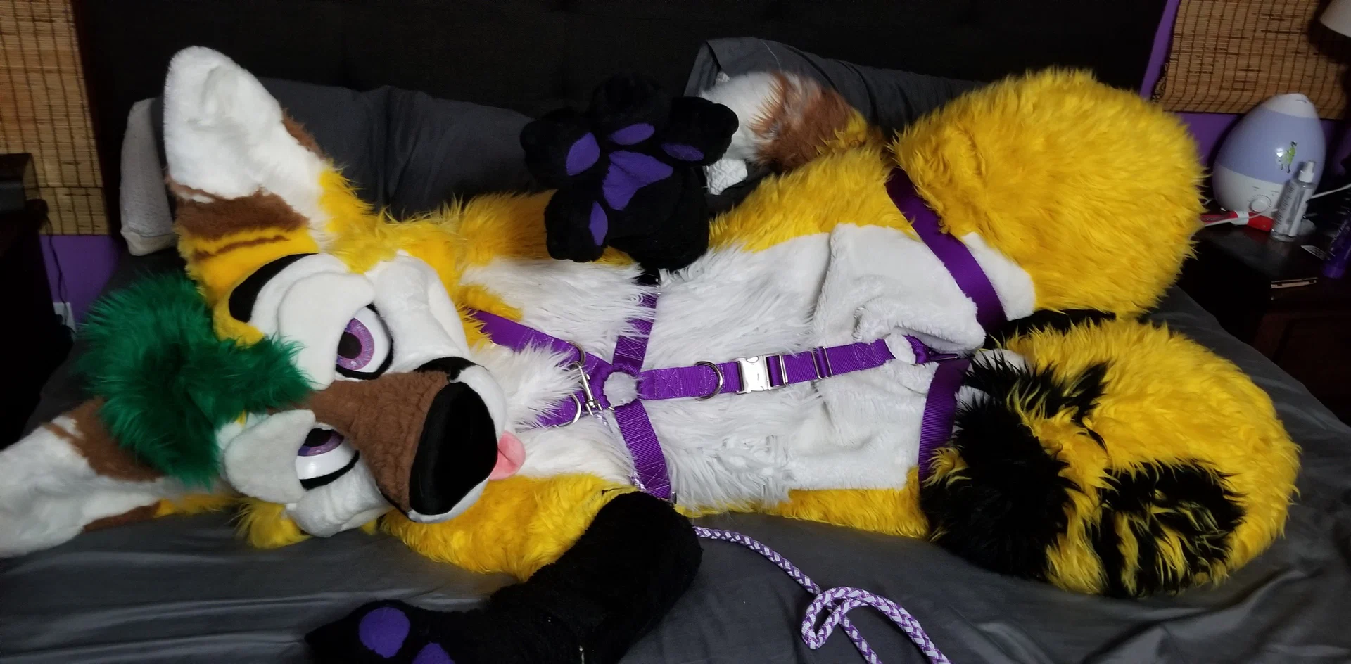 Pineapple Fox profile banner