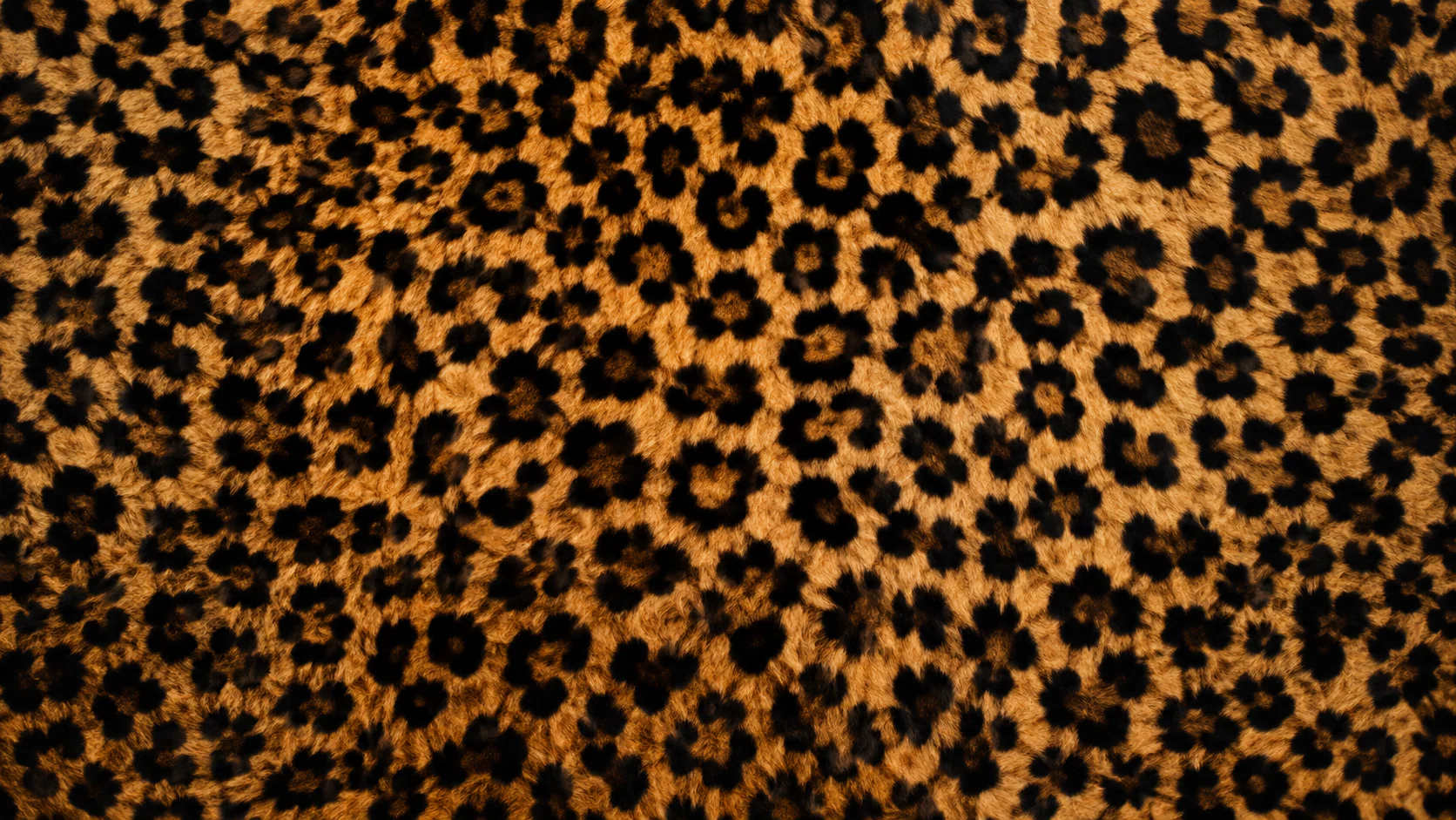 Kimmy Monroe profile banner
