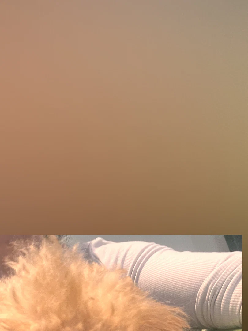 A profile banner