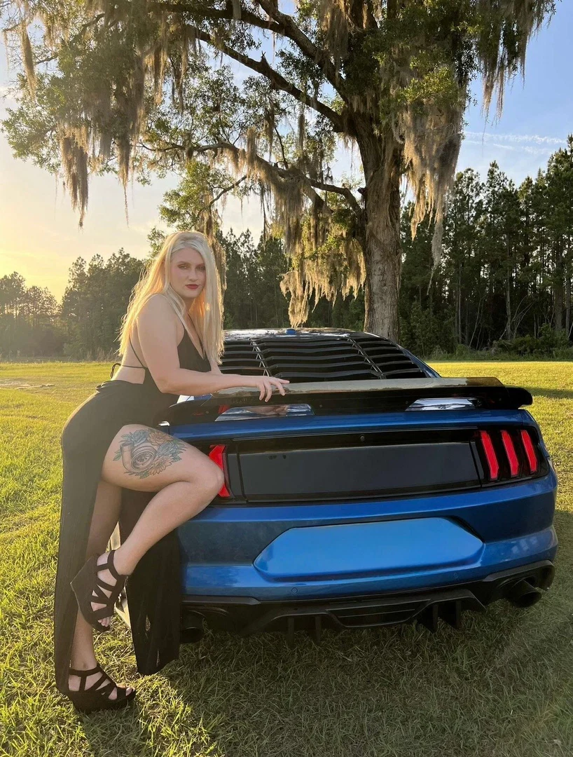 Shelby profile banner