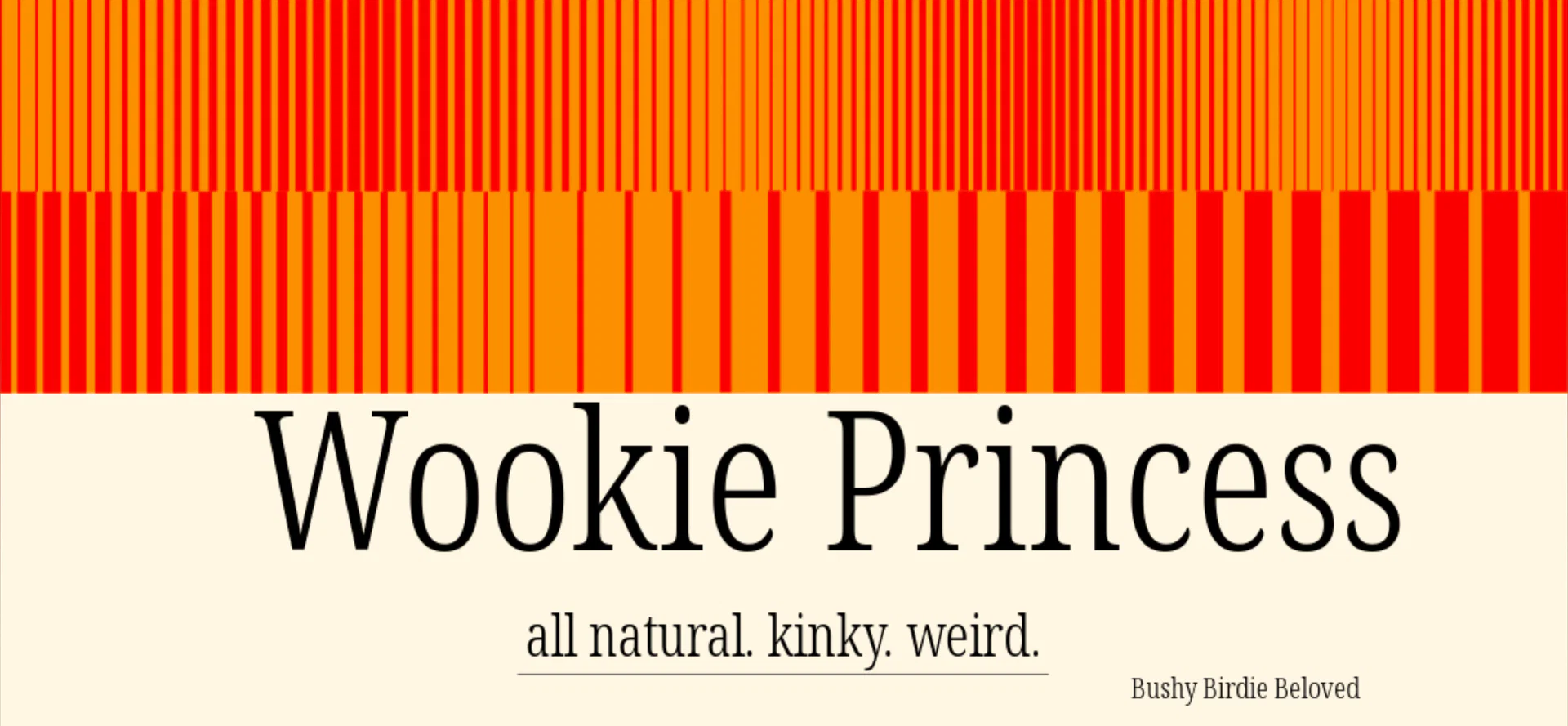 Wookie Princess profile banner