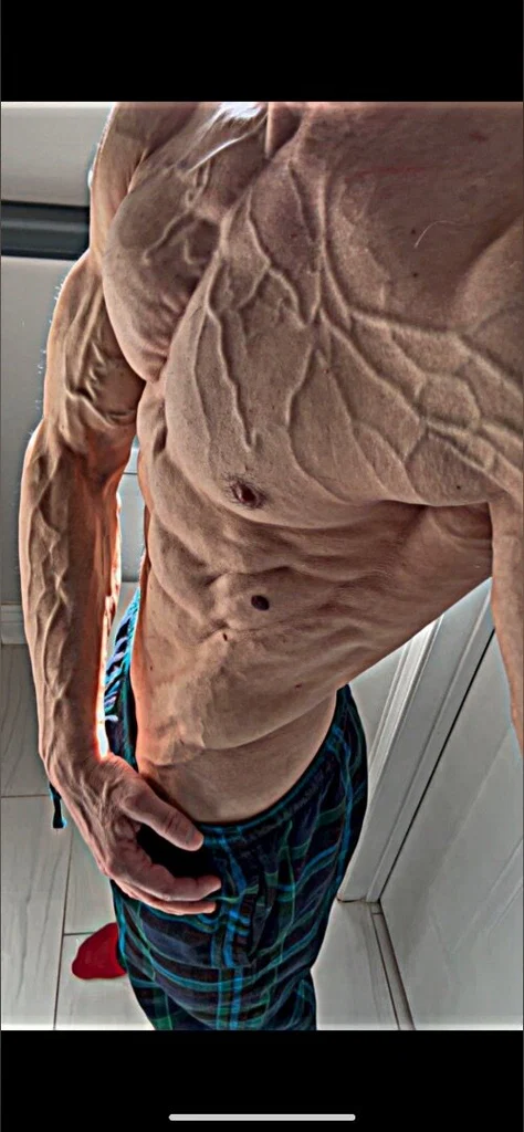 King Shredz's avatar
