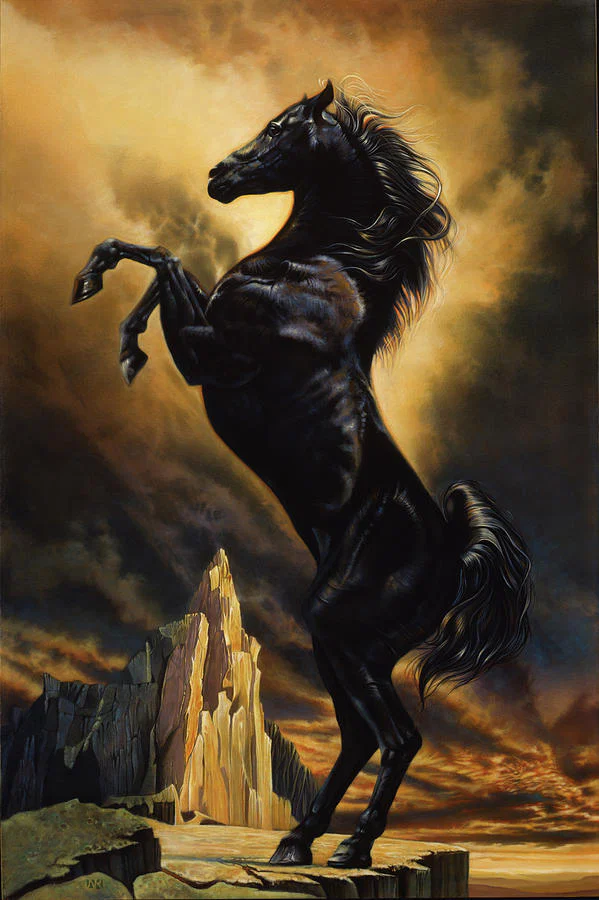 Wild Stxllion's avatar
