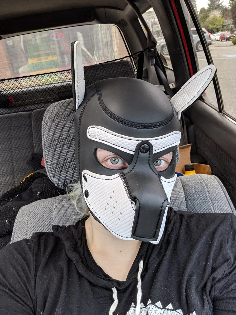 KikoHusky's avatar