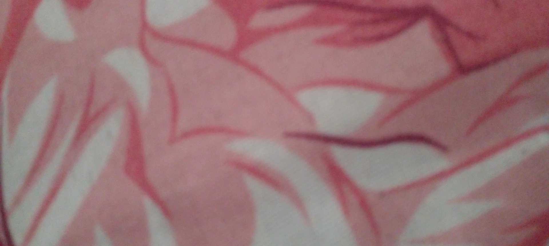 Katily profile banner