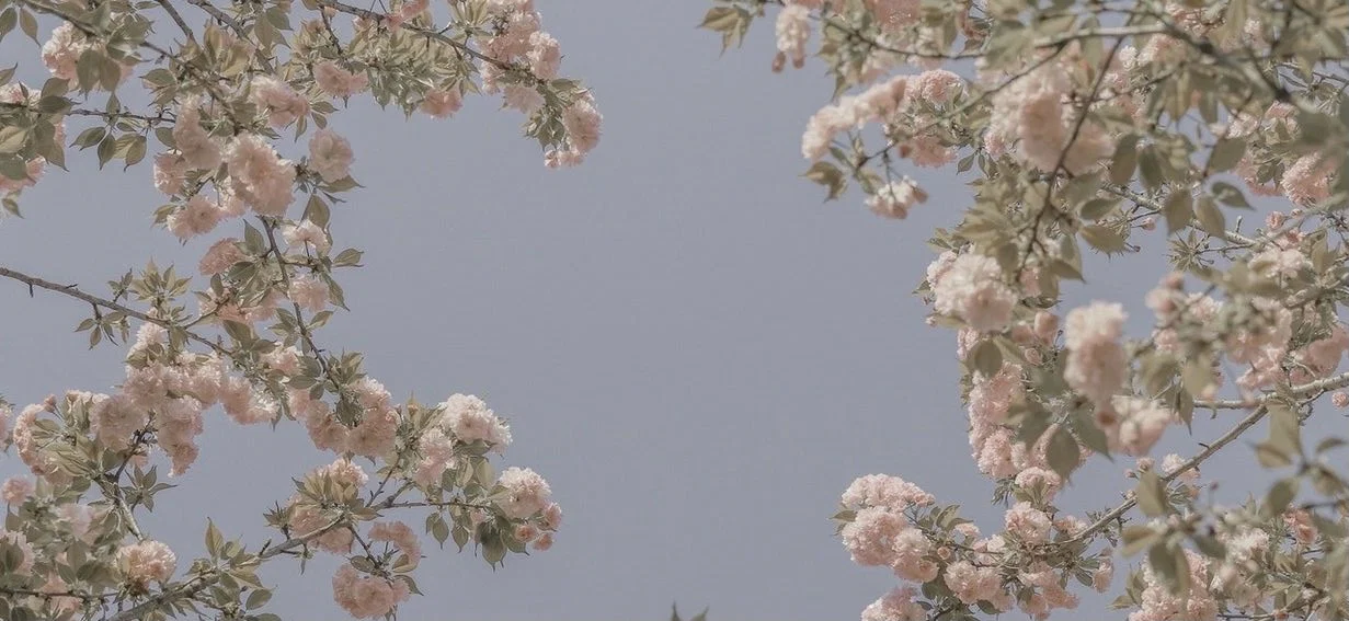 Julie B profile banner