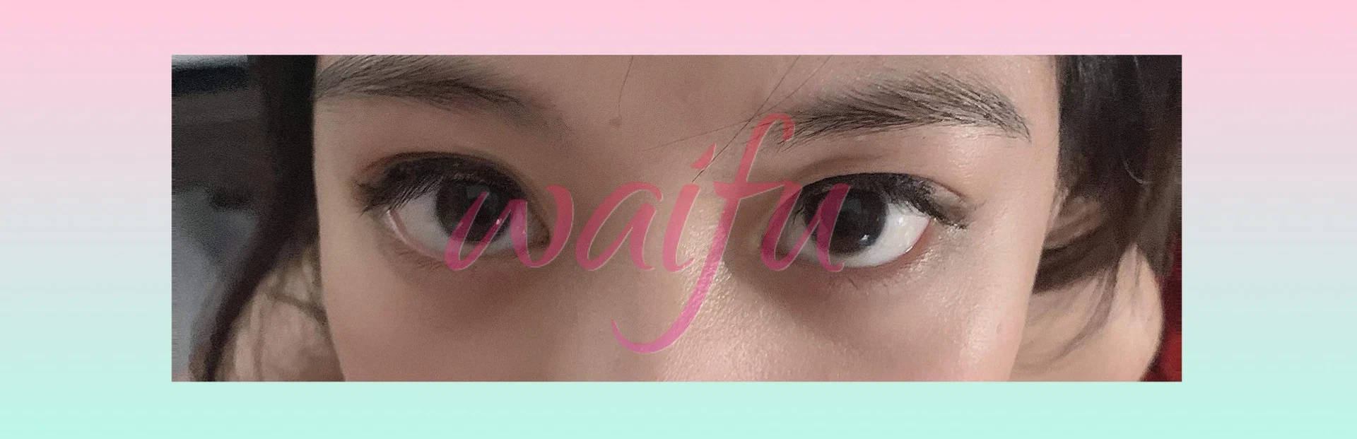 MollydooNeko ツ profile banner