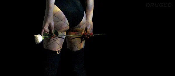 Arina Lena profile banner