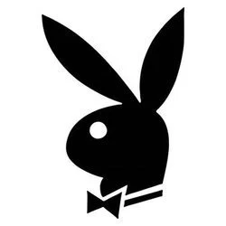 Supreme Bunny's avatar