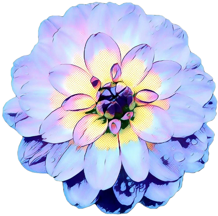 Dahlia Disgrace profile banner