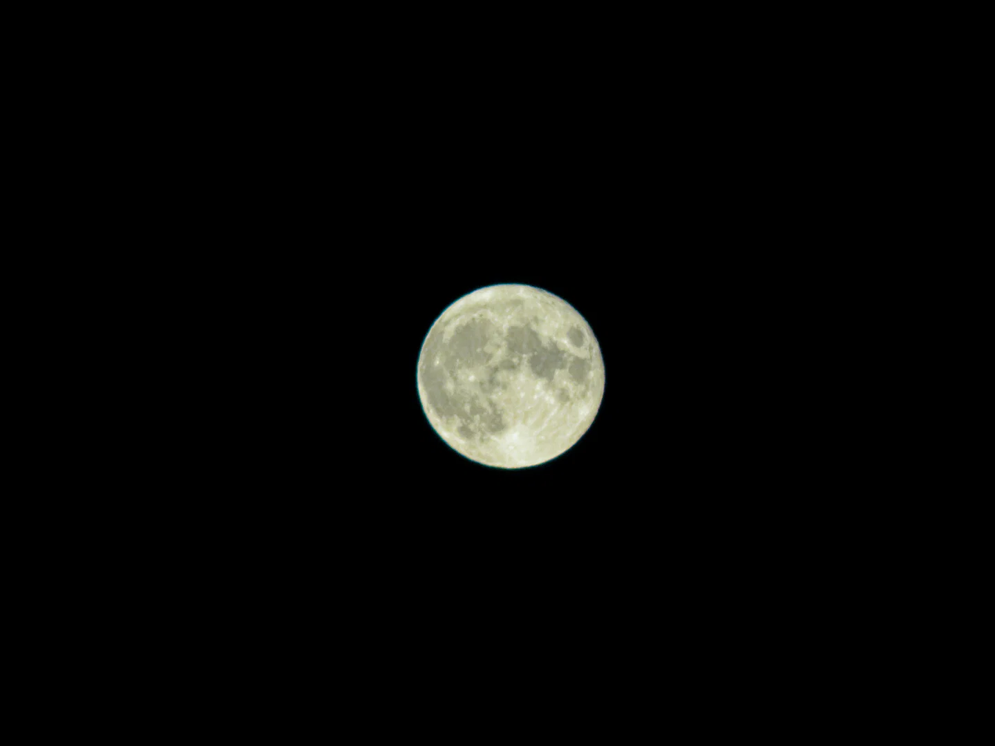 V After Dark profile banner