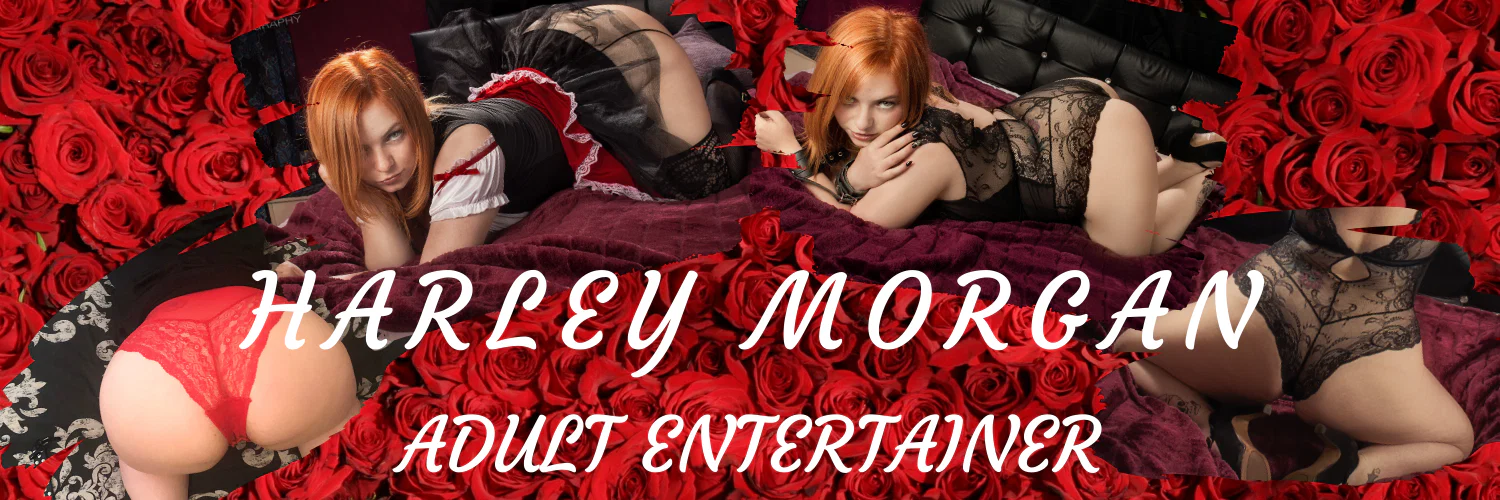 Harley Morgan profile banner