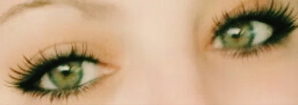 SweetFeetBunny profile banner