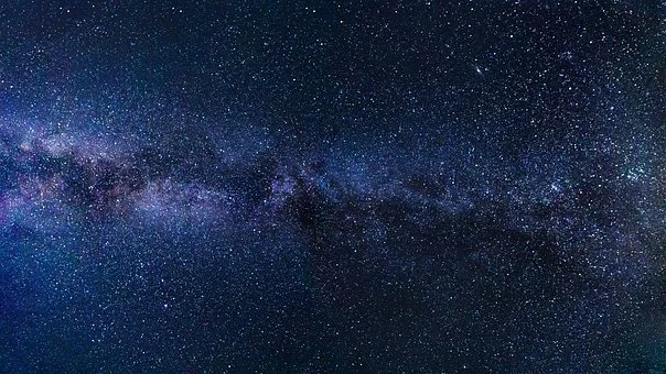Kiwi profile banner