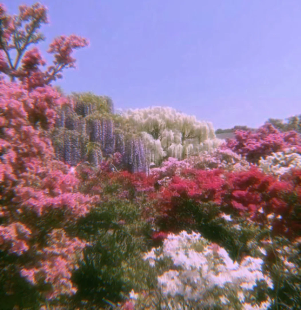 ( ˘ ³˘)♥︎ profile banner