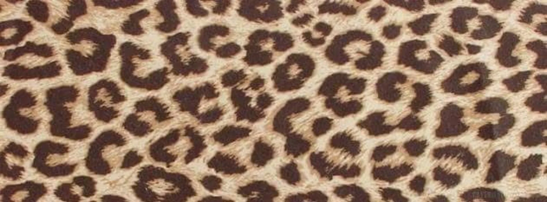 ππππ π πΉ | αΆ Κ³α΅α΅ profile banner
