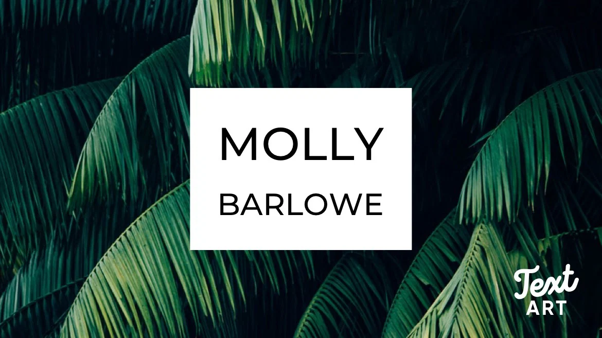 Molly Barlowe profile banner