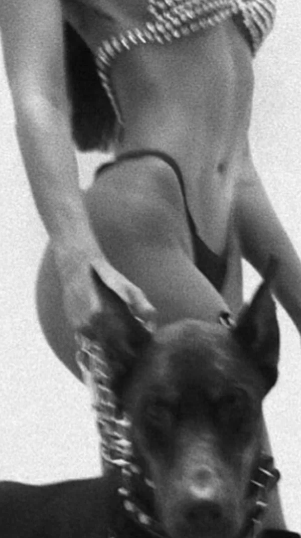 bigboobblondie profile banner