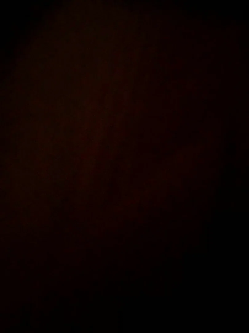 tawnie profile banner
