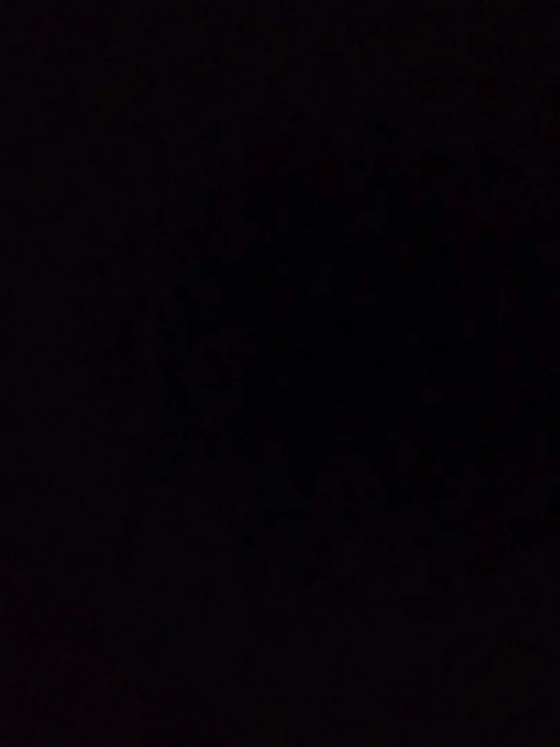Z bunny profile banner