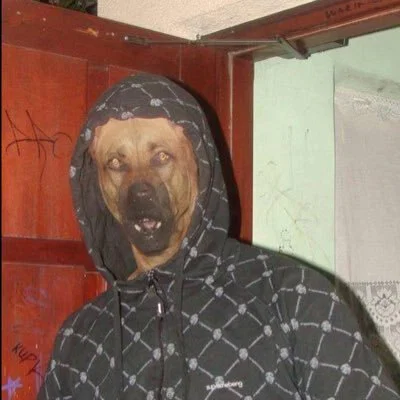Pupper Bone