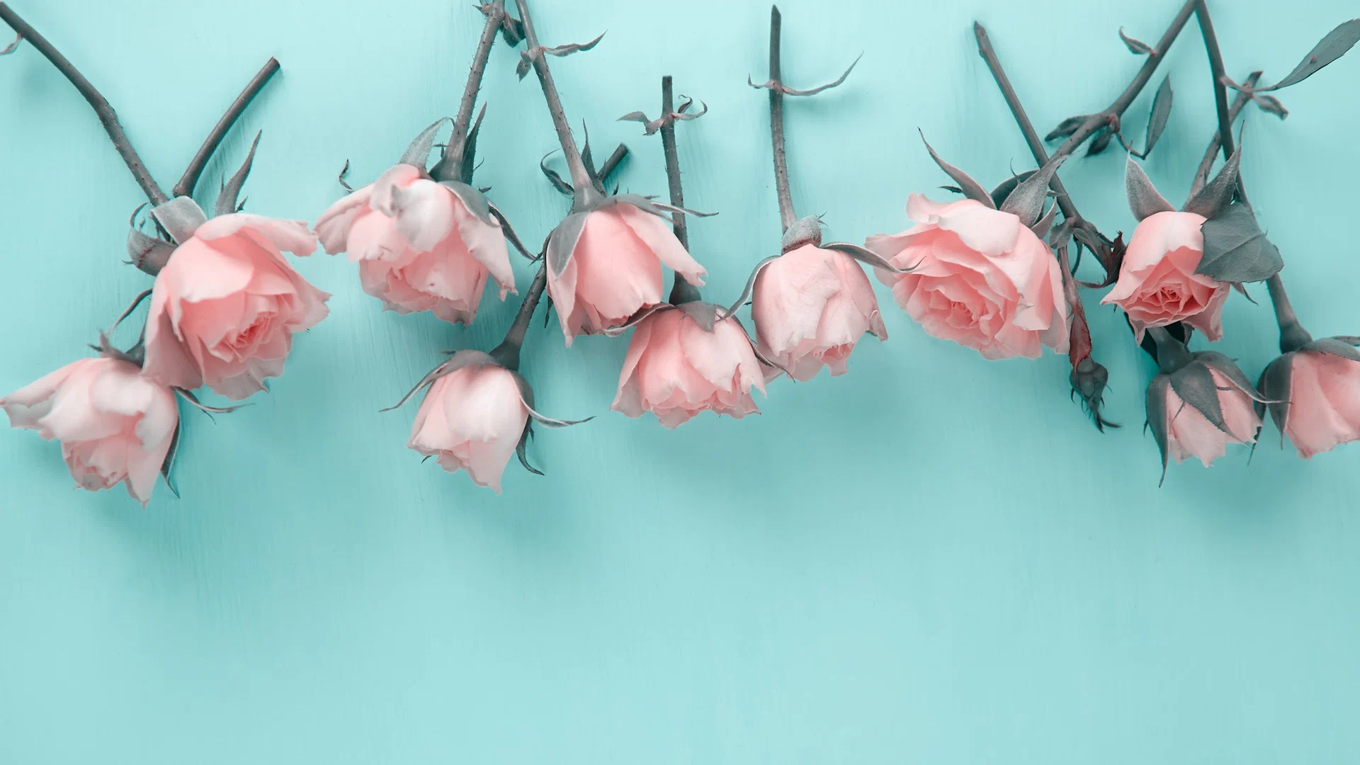 Skyler Lo profile banner
