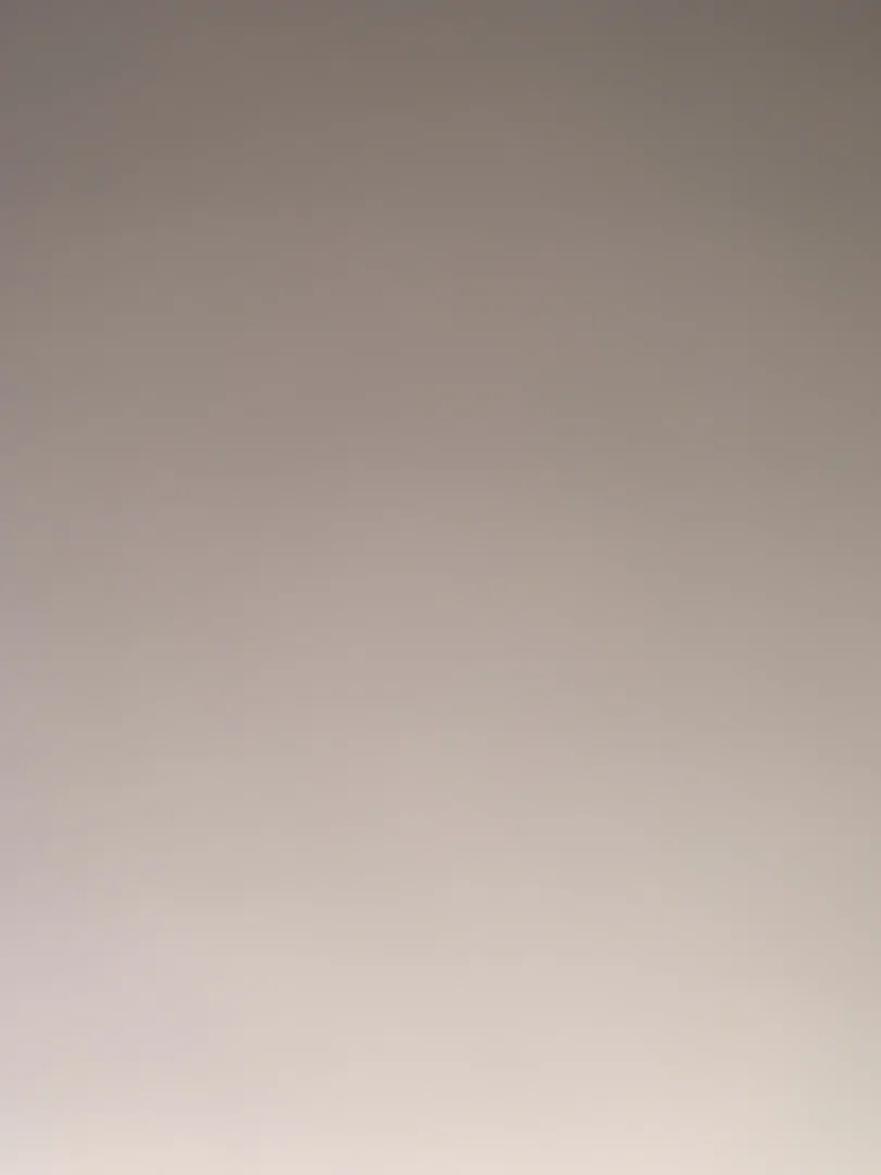 bettyzofff profile banner
