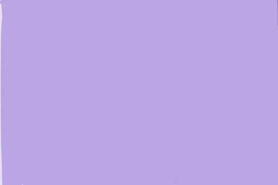 Raven profile banner