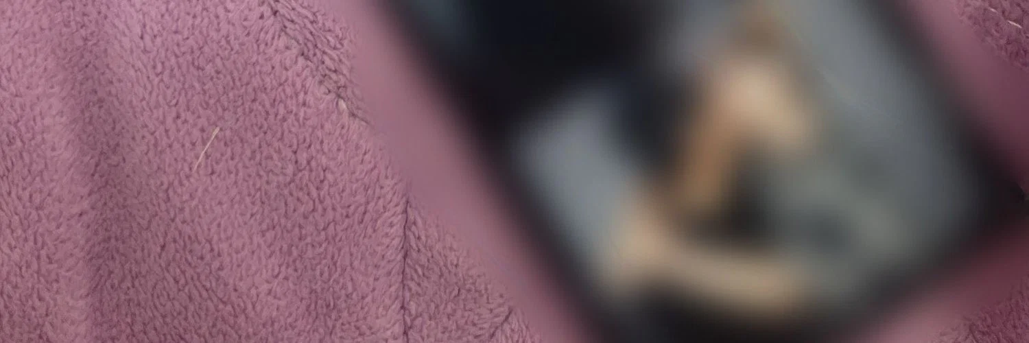콜리 profile banner