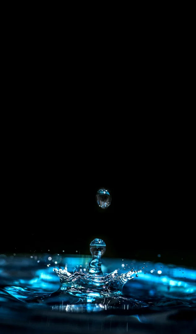 PapaWata profile banner